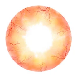 Sweety Sclera Contacts Ghost Sclera