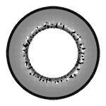 I.Fairy Moonlite Grey