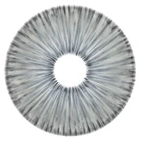 Urban Layer New York Grey - NEW