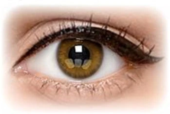 Urban Layer Boston Brown - Image 2